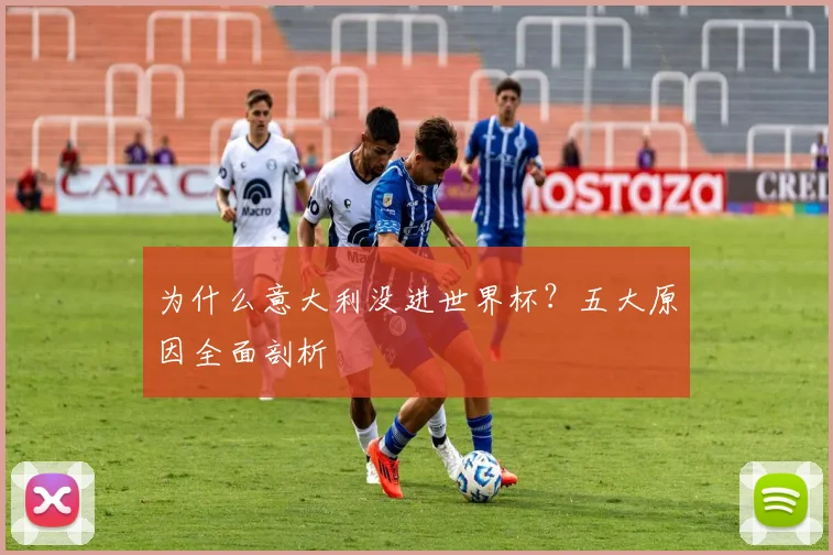 为什么意大利没进世界杯？五大原因全面剖析