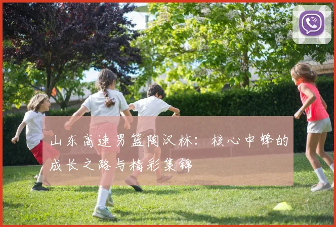 山东高速男篮陶汉林：核心中锋的成长之路与精彩集锦