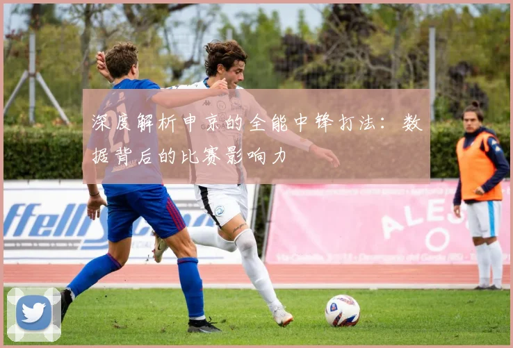 深度解析申京的全能中锋打法：数据背后的比赛影响力